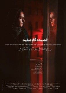 Ghasideh Gave Sefid Movie