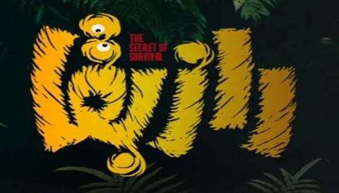 Raze Bagha Series