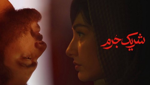 Sharik Jorm Series