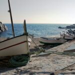 white and brown boat on shore during daytime
