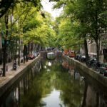 view of concrete bridge surrounded by trees